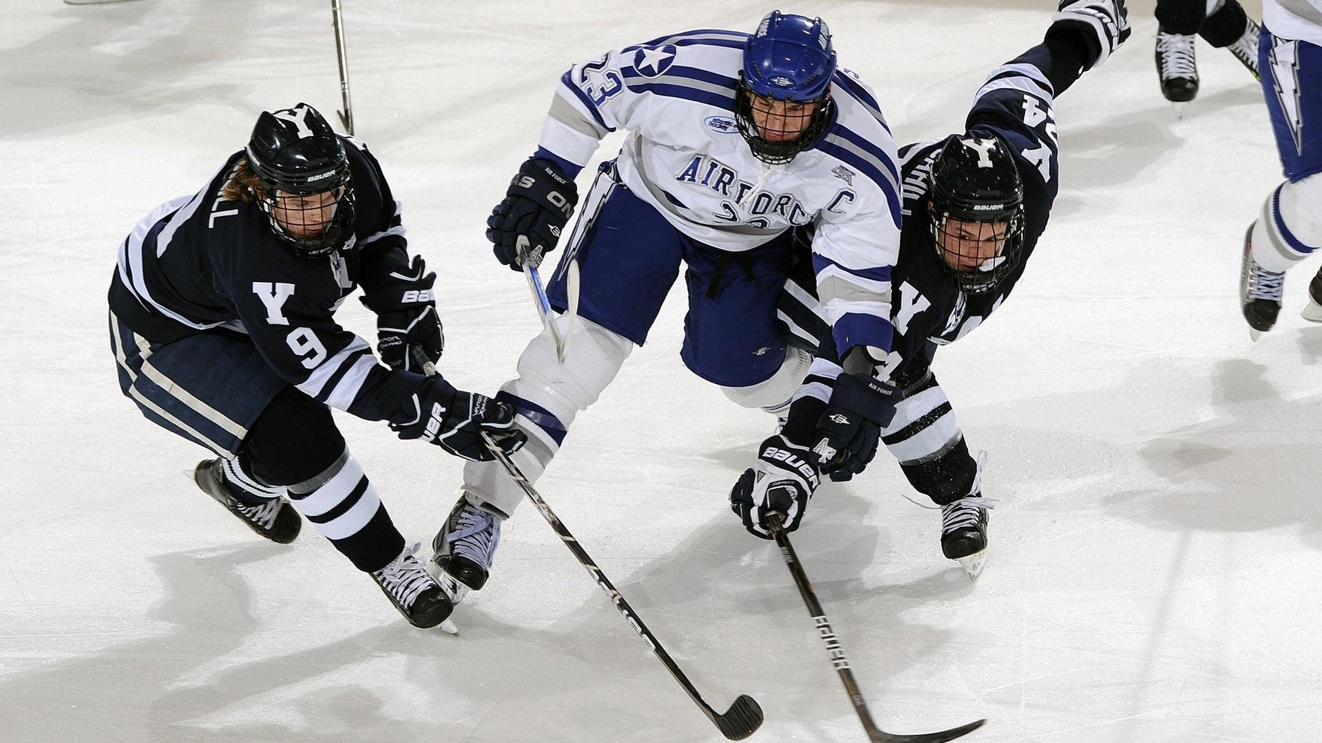 纽约的钢铁洪流，尼克斯正面击溃灰熊，文班亚马的救赎之夜